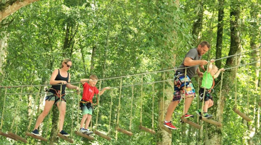 Bali Treetop Adventure