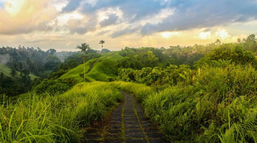 Bukit Campuhan Bali