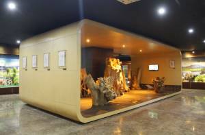 Geopark Museum Batur 3