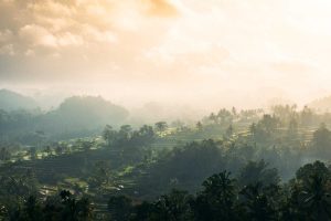 Sidemen Bali - Mick Jagger's Getaway Villa