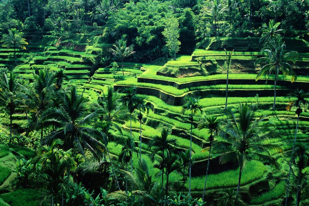 The Flawless Bali Honeymoon Guide - 5 Best Bali Resort for Your Honeymoon 3 1467a700 7195 4ca5 9ac4 c34ac49e6650
