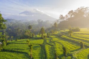 100% Refreshing West Bali Itinerary: How to Spend 7 Days in Bali