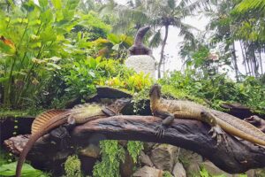 Journey Through Bali’s Wildwood Reptile Sanctuary