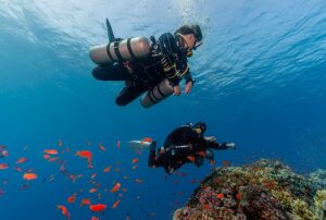 bali diving club rusia 3