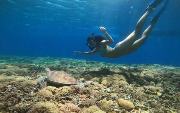 Lombok Harmony Escape (3D2N)