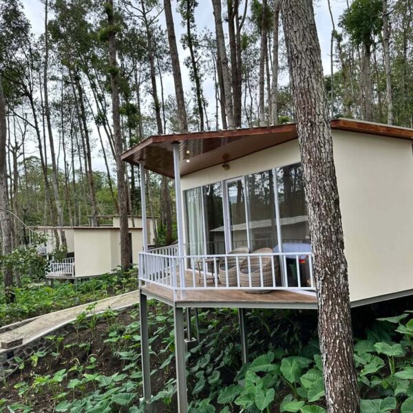 Kintamani Glamping Adventure