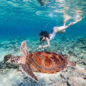 Gili Trawangan Snorkeling - Private