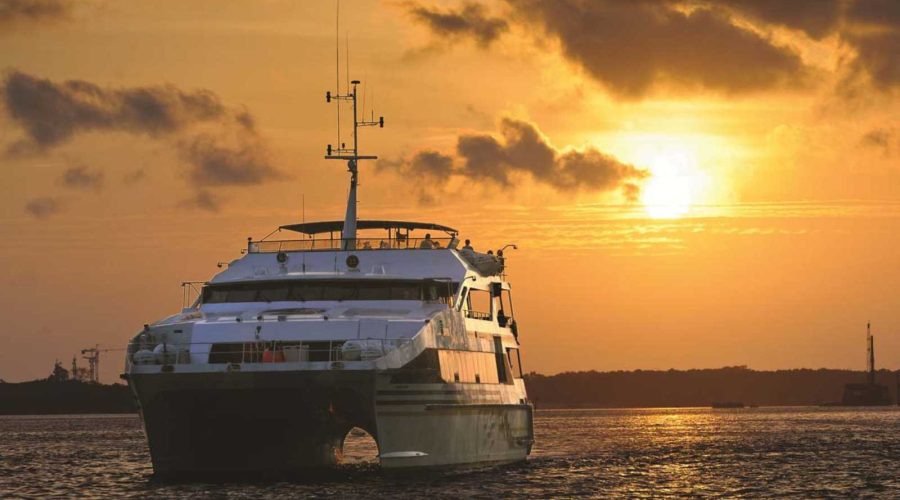 Sunset Dinner Cruise An Evening of Romance and Ocean Charm