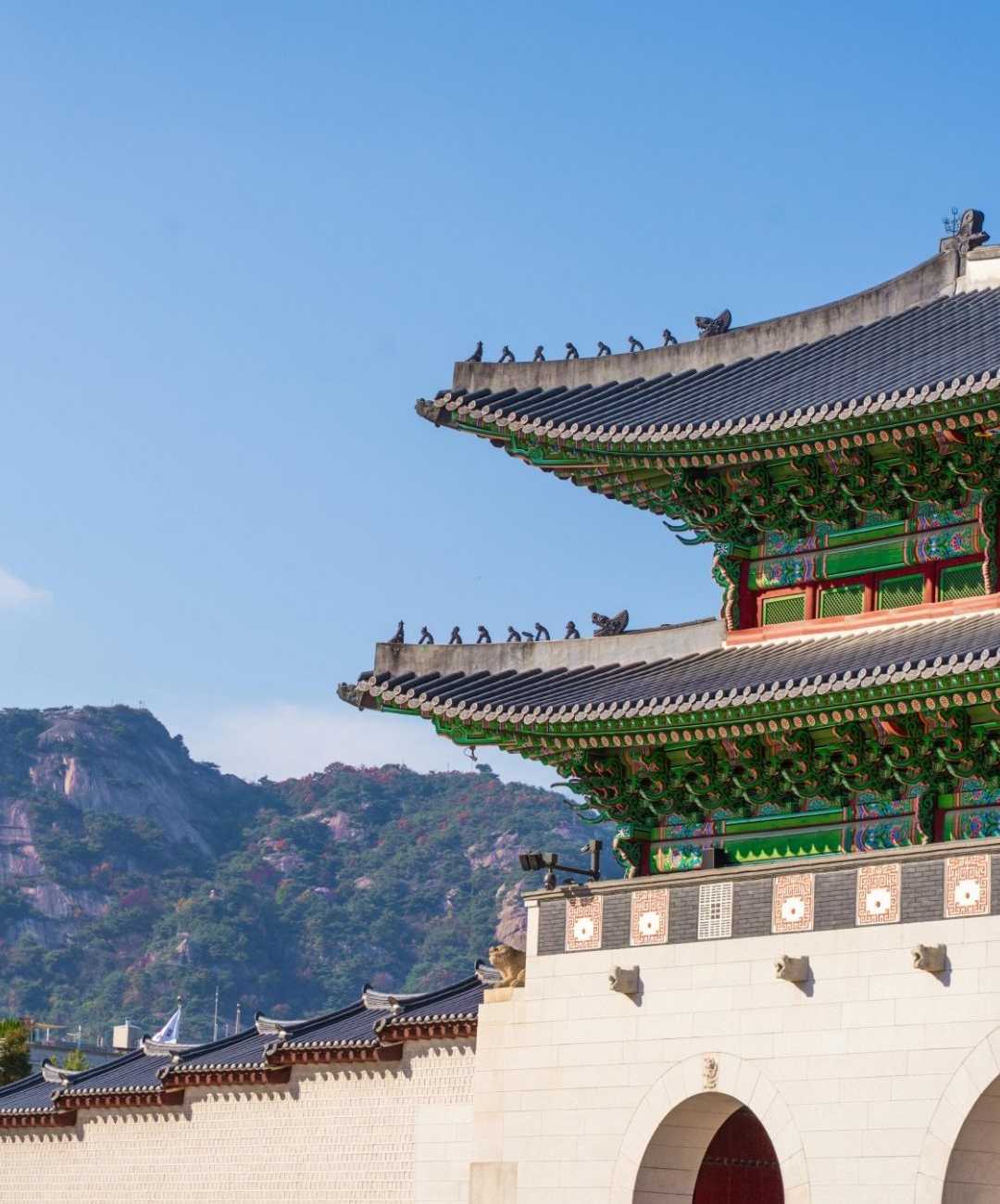 Summer Escape Korea: Busan & Seoul Highlights