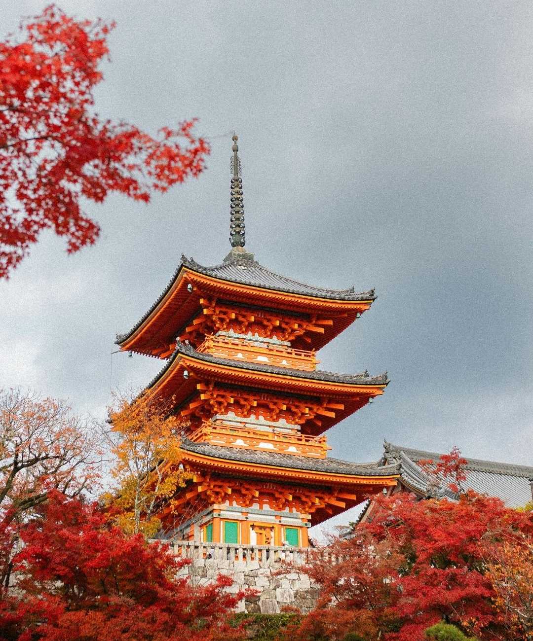 Korea Value Journey: Seoul & Nami Island