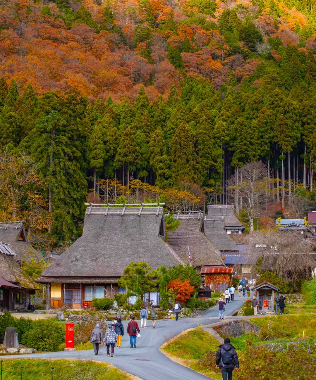 Hidden Gems of Japan: Kyoto & Beyond