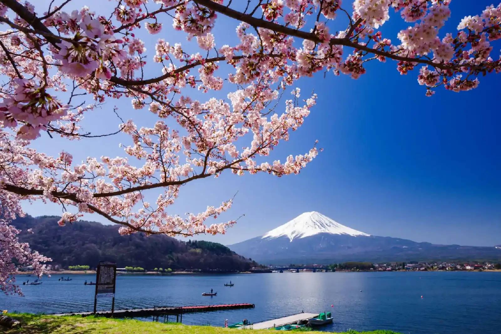 Tokyo - Kawaguchiko