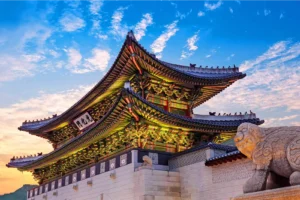 Korea Value Journey: Seoul & Nami Island