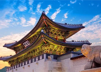 Korea Value Journey: Seoul & Nami Island