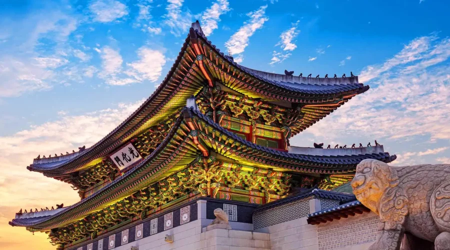 Korea Value Journey: Seoul & Nami Island