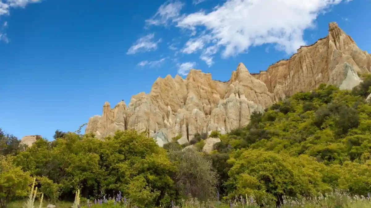 7D5N Best of South New Zealand Pluzz Gold Mining Village 3 Omarama