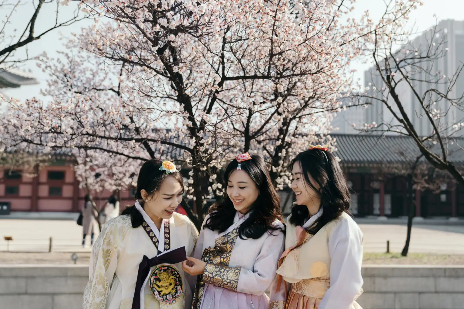 Seoul - Nami Island - Seoul