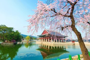 Summer Escape Korea: Busan & Seoul Highlights