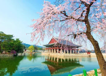 Summer Escape Korea: Busan & Seoul Highlights