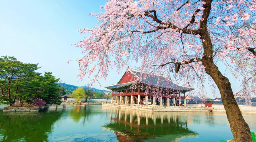 Summer Escape Korea: Busan & Seoul Highlights