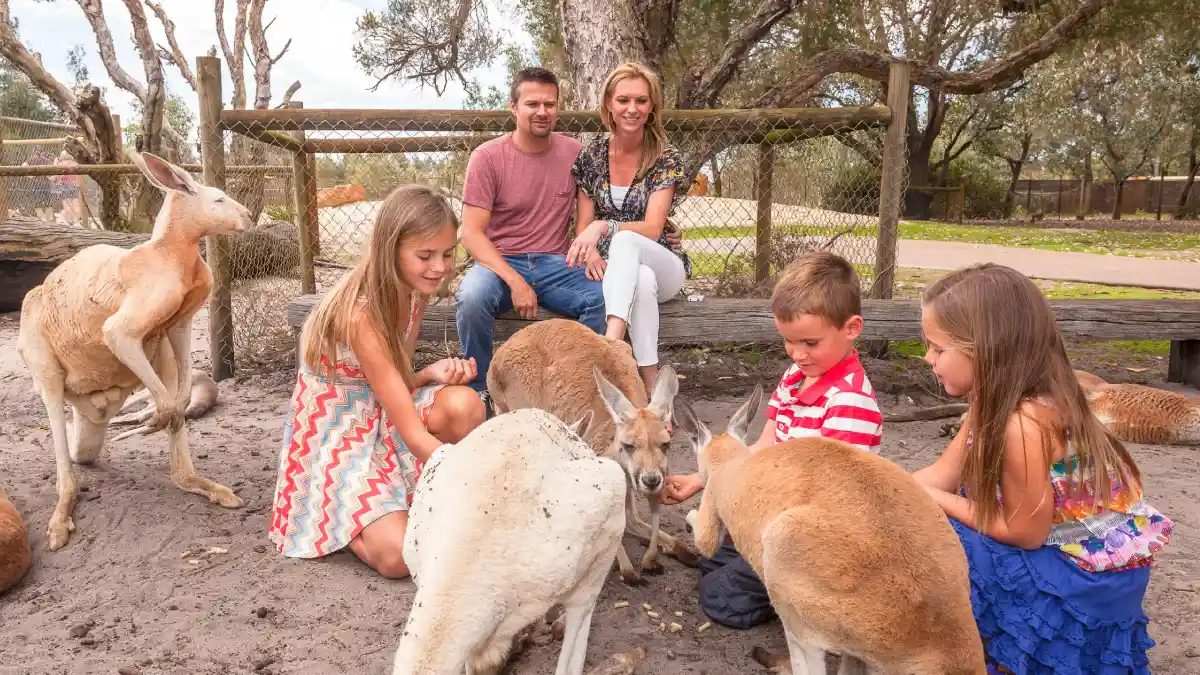 6D4N VD Western Australia With Perth + 4WD Sand Dunes Adventures 3 Perth - Caversham Wildlife Park - Swan Valley - Perth