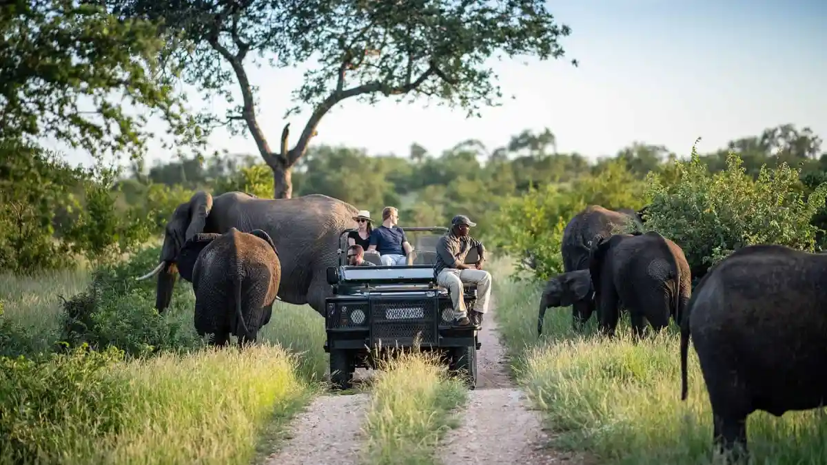 10D7N Amazing South Africa + Table Mountain Pluzz Kruger National Park 5 Hazyview - Kruger National Park - Hazyview